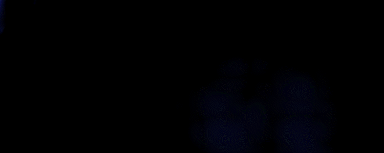 Source or Tool Owner